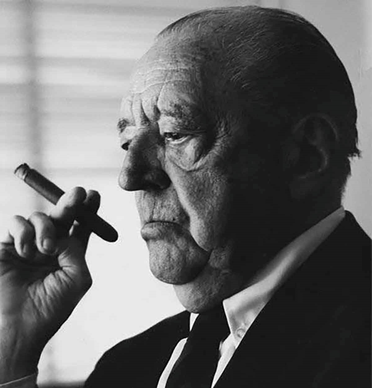 لودویگ میس فن