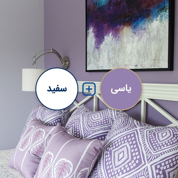 یاسی و سفید