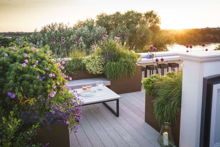 دکوراسیون روف گاردن